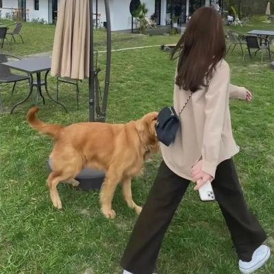 本内特的禅